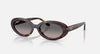 RayBan Havana w/ Grey Gradient Polar
