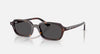 RayBan Zuri Havana w/ Dark Grey