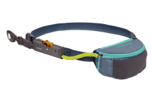 Hitch Hiker Leash