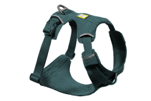 Front Range Flex Harness