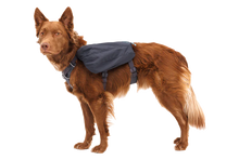 Doggy Daypack