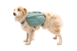 Doggy Daypack