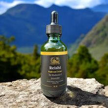 BTV Mushroom Tinctures