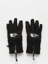 Denali ETip Glove