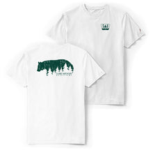 Bear Mountain