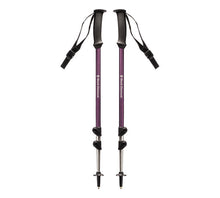 Trail Explorer 3 Trek Poles